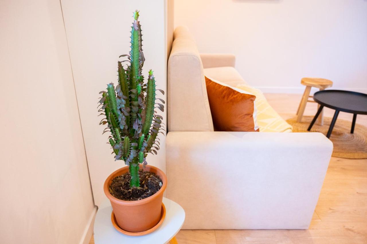 Appartement Cocooning Proche Mer Carqueiranne Exterior foto