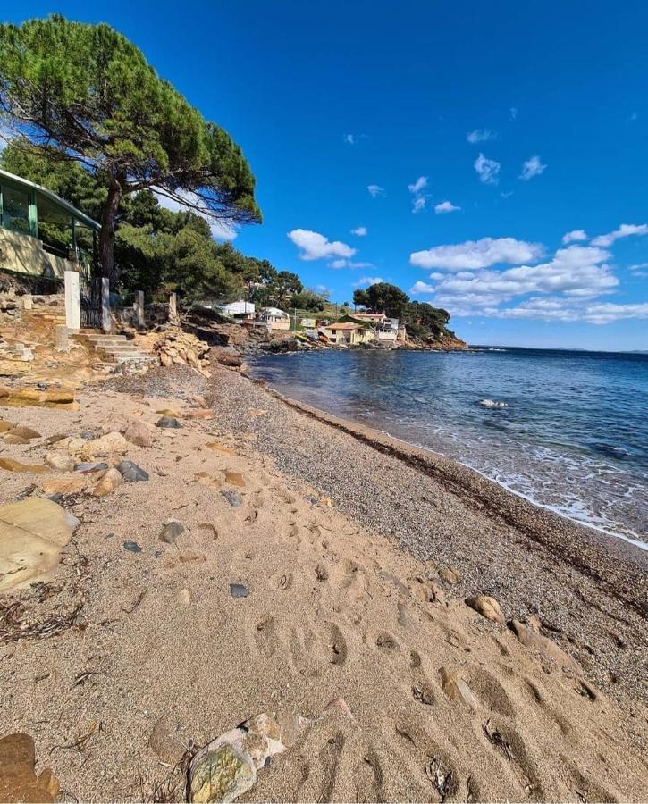 Appartement Cocooning Proche Mer Carqueiranne Exterior foto