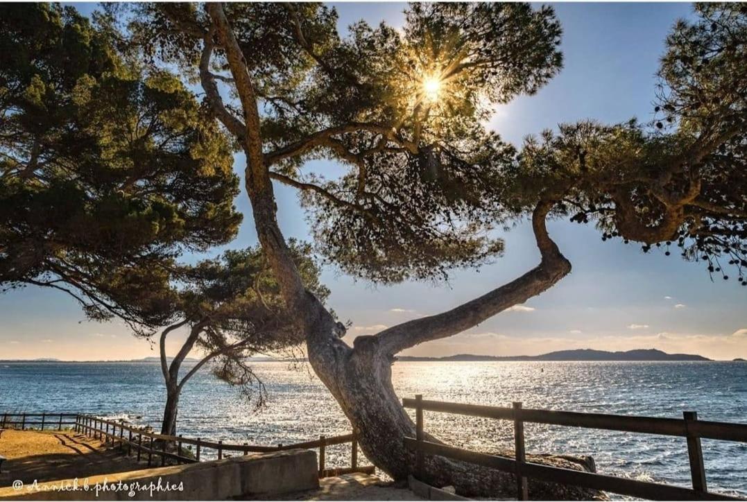 Appartement Cocooning Proche Mer Carqueiranne Exterior foto